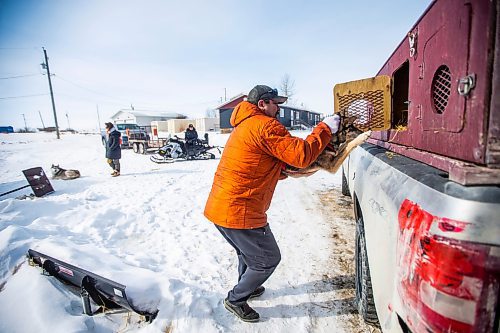 MIKAELA MACKENZIE / WINNIPEG FREE PRESS

Gabriel Hall helps load the dogs into the truck before heading out with students for a sled dog ride on Bloodvein First Nation on Wednesday, March 8, 2023. For Maggie Macintosh story.

Winnipeg Free Press 2023.