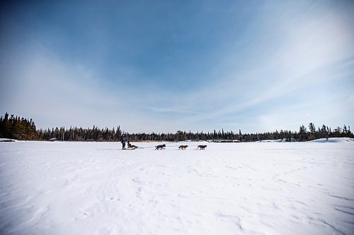 MIKAELA MACKENZIE / WINNIPEG FREE PRESS

Sidney Klassen, PE teacher and sled dog program founder, takes Harveil Cook, grade eight student, on a dog sled ride across the frozen Bloodvein River on Bloodvein First Nation on Wednesday, March 8, 2023. For Maggie Macintosh story.

Winnipeg Free Press 2023.