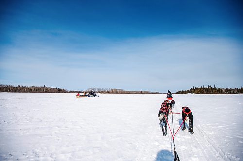 MIKAELA MACKENZIE / WINNIPEG FREE PRESS

Students watch the sled dogs from a snowmobile on Bloodvein First Nation on Wednesday, March 8, 2023. For Maggie Macintosh story.

Winnipeg Free Press 2023.