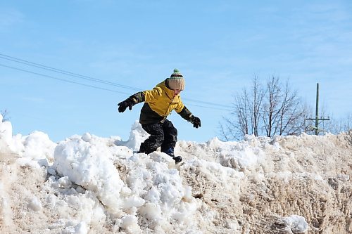 21032023
Ezra Strilchuk plays on a snowbank in Dauphin on a mild and sunny Tuesday afternoon.
(Tim Smith/The Brandon Sun)