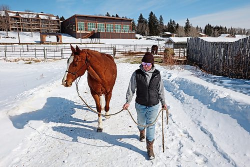 21032023
Molly Kelleher with Elkhorn Riding Adventures walks her quarter-horse Ice outside the stable as part of rehabilitation for a leg injury on Tuesday afternoon.
(Tim Smith/The Brandon Sun)