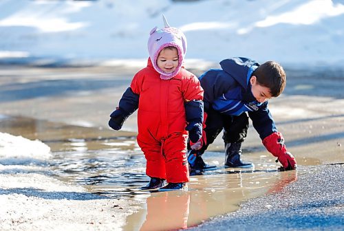 RUTH BONNEVILLE / WINNIPEG FREE PRESS 

Standup - Puddle play

Muera (13 months), plays with her big brother, Kyron (5yrs) in some puddles while on a walk with their mom, Priyanka Tuteja near St. Vital Park Wednesday afternoon. 


March 22nd, 2023

