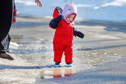 RUTH BONNEVILLE / WINNIPEG FREE PRESS 

Standup - Puddle play

Muera (13 months), plays in some puddles while on a walk with her brother and mom, Priyanka Tuteja  near St. Vital Park Wednesday afternoon. 


March 22nd, 2023

