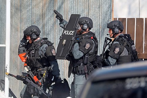 23032023
Members of the Brandon Police Service enter a home in the 300 block of 11th Street in Brandon with guns drawn on Thursday. (Tim Smith/The Brandon Sun)