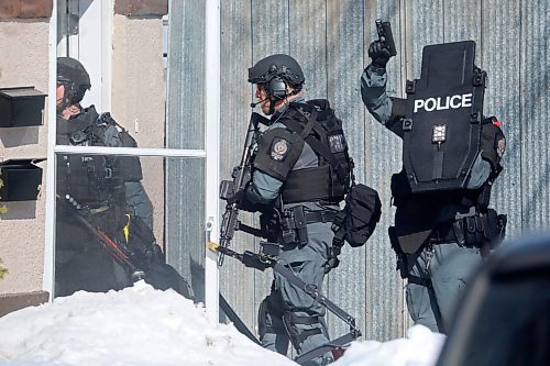 23032023
Members of the Brandon Police Service enter a home in the 300 block of 11th Street in Brandon with guns drawn on Thursday. (Tim Smith/The Brandon Sun)