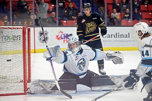 Winnipeg goaltender Mason Beaupit makes a save. (Tim Smith/The Brandon Sun)
