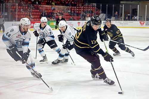 Wheat Kings' forward Roger McQueen carries the puck in the Ice zone.  (Tim Smith/The Brandon Sun)