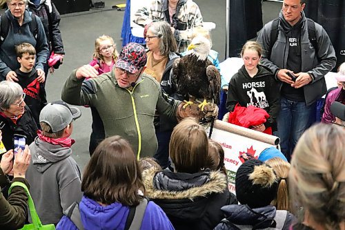 Canadian Raptor Conservancy director James Cowan introduces Royal Manitoba Winter Fair audiences to Bruce the bald eagle inside the Keystone Centre's amphitheatre on Monday morning. (Kyle Darbyson/The Brandon Sun)