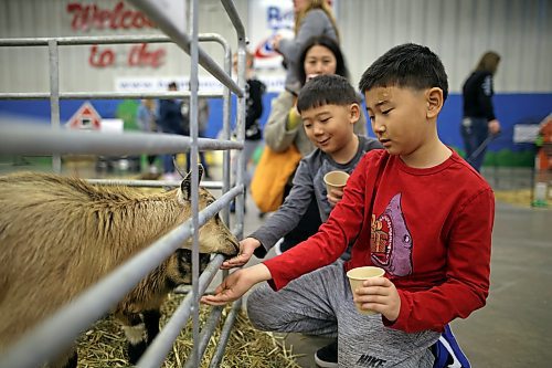 Brothers Aiden and David Song feed goats at the petting zoo Tuesday morning during the Royal Manitoba Winter Fair at the Keystone Centre. (Tim Smith/The Brandon Sun)
