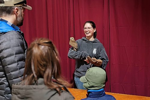 Jessica Riach with the Manitoba Burrowing Owl Recovery Program holds a burrowing owl for visitors to learn about during the Royal Manitoba Winter Fair at The Keystone Centre on Tuesday. (Tim Smith/The Brandon Sun)
