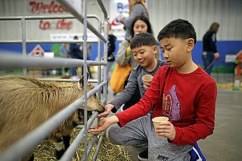 28032023
Brothers Aiden and David Song feed goats at the petting zoo on Tuesday morning during the Royal Manitoba Winter Fair at The Keystone Centre.
(Tim Smith/The Brandon Sun)
