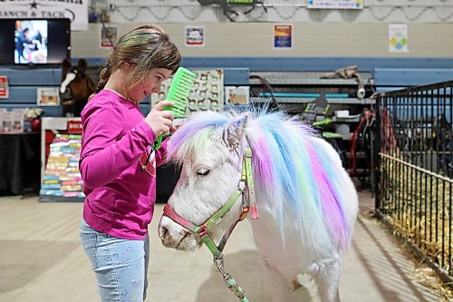 28032023
Six-year-old Izzy Freeman brushes Shorty, a miniature horse belonging to SGA Stables from Grandview during the Royal Manitoba Winter Fair at The Keystone Centre on Tuesday.
(Tim Smith/The Brandon Sun)
