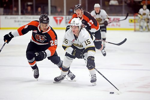 Brandon Wheat Kings forward Nolan Ritchie (15) skates with the puck as Cayden Lindstrom (28) of the Medicine Hat Tigers pursues during Western Hockey League action at Westoba Place on March 8. Ritchie, a Brandon product, just graduated from the WHL after four seasons with the Wheat Kings, the team his father Darren also played for. (Tim Smith/The Brandon Sun)