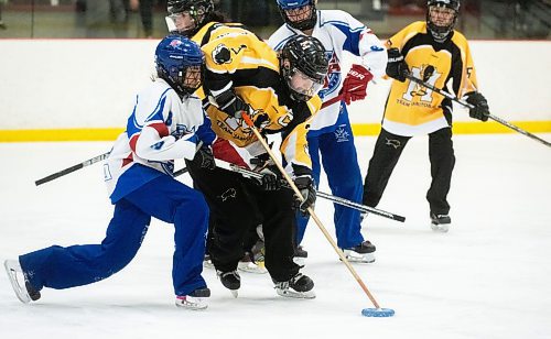 Mike Sudoma/Winnipeg Free Press
Ava Hepburn of U14AA Team Manitoba Ringette keeps the ring away from Team Alberta as the teams faces off at Seven Oaks Arena Thursday
March 30, 2023 