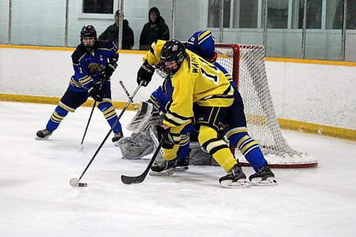 Graduating Yellowhead Chiefs forward Lexy Waddell controls the puck during a Manitoba Female Hockey League Under-18 AAA playoff game against the Westman Wildcats in Shoal Lake last month. (Lucas Punkari/The Brandon Sun)