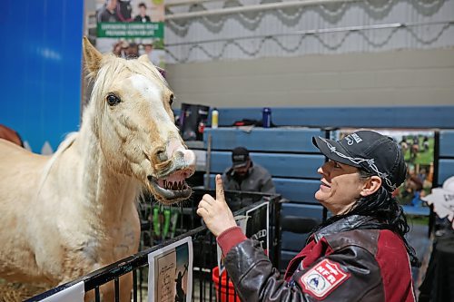Trigger, a quarter horse from Lucky Break Ranch, puckers up while playing with ranch owner Kim Richardson at the Royal Manitoba Winter Fair in the Keystone Centre on Friday. (Tim Smith/The Brandon Sun)
