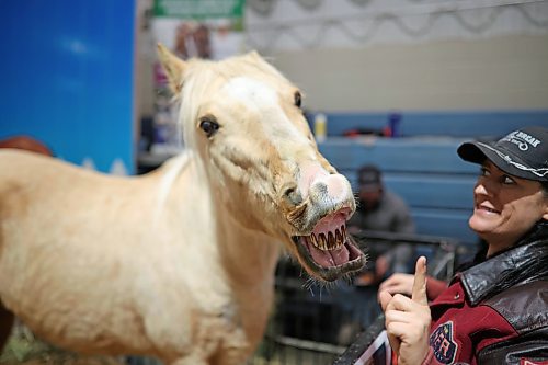30032023
Trigger, a quarter horse from Lucky Break Ranch, puckers up while playing with ranch owner Kim Richardson at the Royal Manitoba Winter Fair in The Keystone Centre on Friday. 
(Tim Smith/The Brandon Sun)
