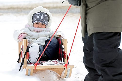 03042023
Two-year-old Lua Beaulieu is pulled through fresh snow in a sleigh by her mother Carmel Razzaghi on a Monday.
(Tim Smith/The Brandon Sun)