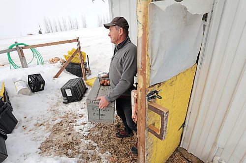RUTH BONNEVILLE / WINNIPEG FREE PRESS 

BIZ - farming labour

Who: Russell Loewen, who runs Loewen Homestead just south of St. Norbert, fetches fresh eggs from his feathered friends in his chicken coop Monday.  

Story: Russell is a vegetable and egg farmer. He&#x573; planning to retire in the next 5-10 years, but his kids will not be taking over.  He's  an example of a growing number of farmers reaching retirement age without a succession plan. This is for an article on anticipated labour shortages in farming in the next decade.

See Gabby's story. 

April 6th, 2023