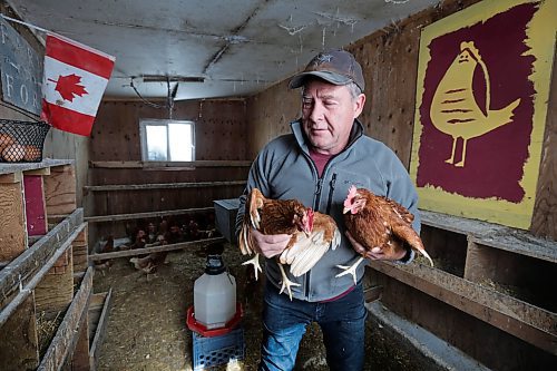 RUTH BONNEVILLE / WINNIPEG FREE PRESS 

BIZ - farming labour

Who: Russell Loewen, who runs Loewen Homestead just south of St. Norbert, fetches fresh eggs from his feathered friends in his chicken coop Monday.  

Story: Russell is a vegetable and egg farmer. He&#x2019;s planning to retire in the next 5-10 years, but his kids will not be taking over.  He's  an example of a growing number of farmers reaching retirement age without a succession plan. This is for an article on anticipated labour shortages in farming in the next decade.

See Gabby's story. 

April 6th, 2023