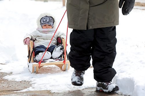 03042023
Two-year-old Lua Beaulieu is pulled through fresh snow in a sleigh by her mother Carmel Razzaghi on a Monday.
(Tim Smith/The Brandon Sun)