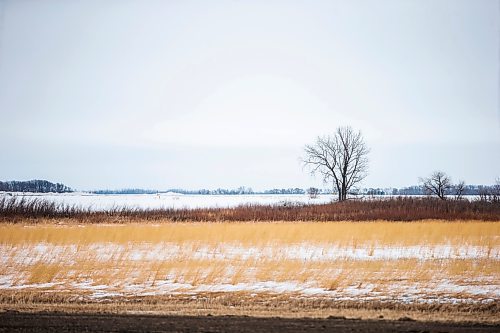 MIKAELA MACKENZIE / WINNIPEG FREE PRESS

The border in Emerson on Monday, April 3, 2023.  For Chris story.

Winnipeg Free Press 2023.