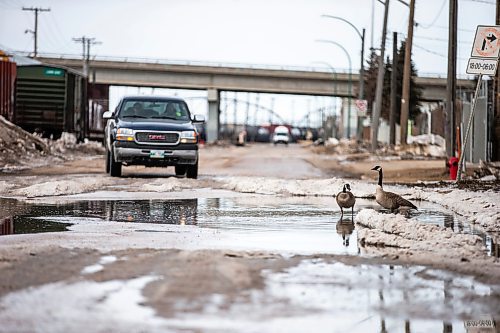 MIKAELA MACKENZIE / WINNIPEG FREE PRESS

Icy ruts and big puddles on Sutherland Avenue in Winnipeg on Tuesday, April 4, 2023. For Malak story.

Winnipeg Free Press 2023.