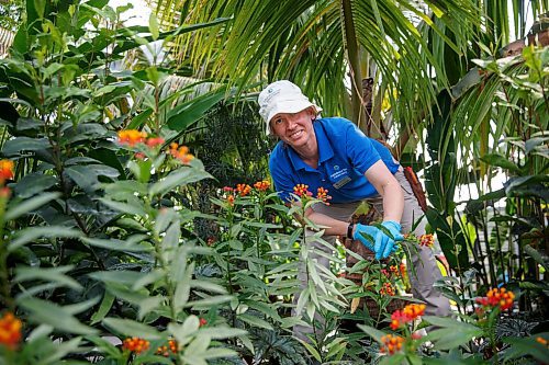 Mike Deal / Winnipeg Free Press
Euguenia Druyet Zoubareva, Lead Horticulturist at The Leaf.
See AV Kitching story
230406 - Thursday, April 06, 2023.