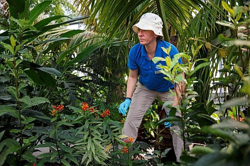 Mike Deal / Winnipeg Free Press
Euguenia Druyet Zoubareva, Lead Horticulturist at The Leaf.
See AV Kitching story
230406 - Thursday, April 06, 2023.