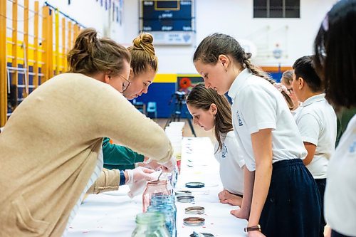 MIKAELA MACKENZIE / WINNIPEG FREE PRESS
Grade five students Veronika Shyndia (left) and Anna Mykhalyka watch as their Pysanky eggs get dipped in dye at Immaculate Heart of Mary School in Winnipeg on Thursday, April 6, 2023. For Malak story.
Winnipeg Free Press 2023.