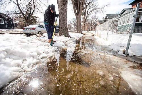 MIKAELA MACKENZIE / WINNIPEG FREE PRESS

Joel Rivas works on clearing a drain pathway for a big puddle on the sidewalk in River Heights on Monday, April 10, 2023. For Brent Bellamy story.

Winnipeg Free Press 2023.