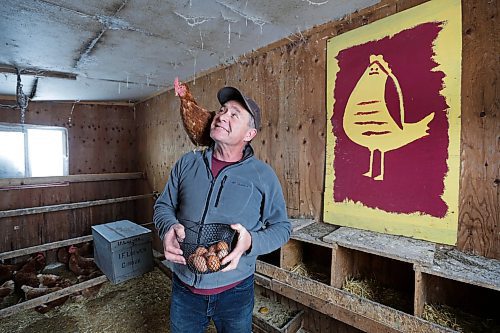 RUTH BONNEVILLE / WINNIPEG FREE PRESS 

BIZ - farming labour

Who: Russell Loewen, who runs Loewen Homestead just south of St. Norbert, fetches fresh eggs from his feathered friends in his chicken coop Monday.  

Story: Russell is a vegetable and egg farmer. Heճ planning to retire in the next 5-10 years, but his kids will not be taking over.  He's  an example of a growing number of farmers reaching retirement age without a succession plan. This is for an article on anticipated labour shortages in farming in the next decade.

See Gabby's story. 

April 6th, 2023