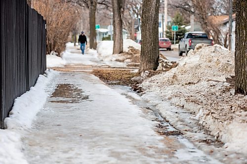 MIKAELA MACKENZIE / WINNIPEG FREE PRESS

Brian Spottar goes for a walk on slushy, icy sidewalks in River Heights on Monday, April 10, 2023. For Brent Bellamy story.

Winnipeg Free Press 2023.