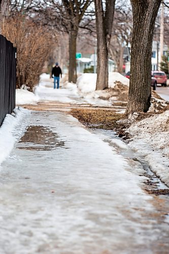 MIKAELA MACKENZIE / WINNIPEG FREE PRESS

Brian Spottar goes for a walk on slushy, icy sidewalks in River Heights on Monday, April 10, 2023. For Brent Bellamy story.

Winnipeg Free Press 2023.