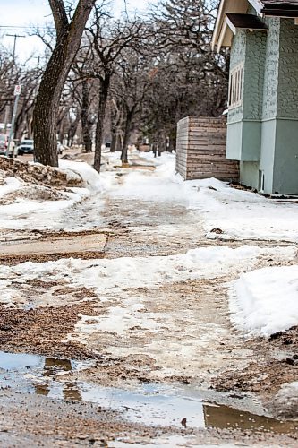 MIKAELA MACKENZIE / WINNIPEG FREE PRESS

Slushy, icy sidewalks with compacted snow that has frozen into hazardous ice in River Heights on Monday, April 10, 2023. For Brent Bellamy story.

Winnipeg Free Press 2023.