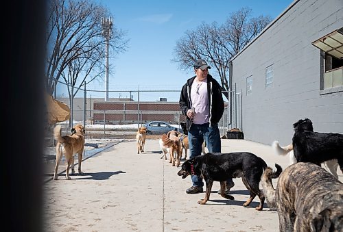 JESSICA LEE / WINNIPEG FREE PRESS

John Bush is photographed with dozens of dogs he cares for at dog daycare centre Paws Unleashed on National Pet Day, April 11, 2023.

Stand up