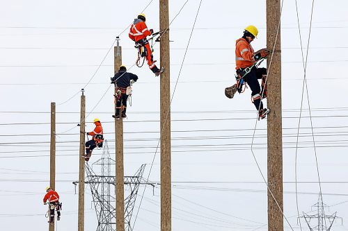 Manitoba Hydro power line technician trainees practise climbing utility poles to improve their stamina. (Tim Smith/The Brandon Sun/Files)