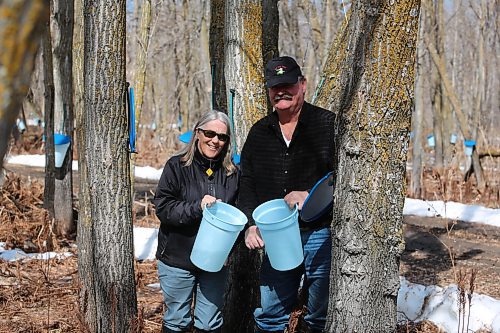 Pam Little, president of the Manitoba Maple Syrup Festival and Bob Gass, a maple sugar producer, are checking the sap collecting pails on Gass's property just west of McCreary on Wednesday. (Michele McDougall, Brandon Sun) 