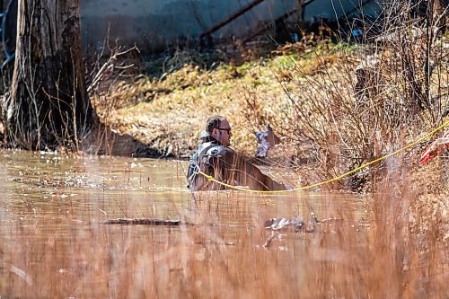 MIKAELA MACKENZIE / WINNIPEG FREE PRESS

Police search the river banks near the Alexander docks in Winnipeg on Monday, April 17, 2023. For Chris Kitching story.

Winnipeg Free Press 2023.