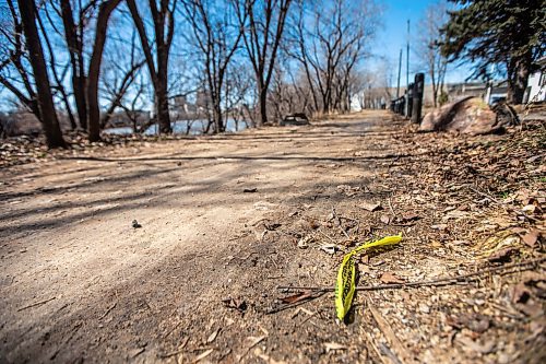 MIKAELA MACKENZIE / WINNIPEG FREE PRESS

A former police scene at the end of Curtis Street in Winnipeg on Monday, April 17, 2023. For Chris Kitching story.

Winnipeg Free Press 2023.