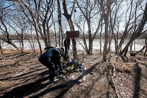 JOHN WOODS / WINNIPEG FREE PRESS
Herman, who found body parts in a bag down by the Red River while out for a walk, cleans up a memorial for a homeless person who was killed near the scene Monday, April 17, 2023. 

Re: Kitching