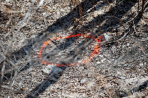 JOHN WOODS / WINNIPEG FREE PRESS
A police marker on the Red River bank where a man found body parts in a bag while out for a walk Monday, April 17, 2023. 

Re: Kitching