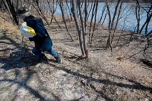JOHN WOODS / WINNIPEG FREE PRESS
Herman Holla, who found body parts in a bag down by the Red River while out for a walk, walks near the scene Monday, April 17, 2023. 

Re: Kitching