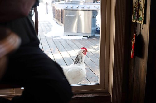 MIKAELA MACKENZIE / WINNIPEG FREE PRESS

Vince Freeman speaks about the proposed sand mine while in his home near Anola on Friday, March 24, 2023. For JS story.

Winnipeg Free Press 2023.