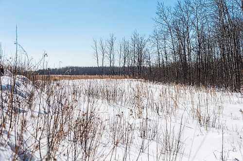 MIKAELA MACKENZIE / WINNIPEG FREE PRESS

The land where a proposed sand processing site borders the Mustard property near Anola on Friday, March 24, 2023. The land has already been clear cut in preparation for the facility. For JS story.

Winnipeg Free Press 2023.