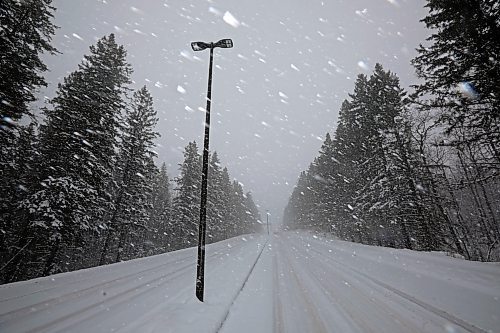 19042023
Snow falls along Highway 10 in Riding Mountain National Park during a snowstorm on Wednesday.
(Tim Smith/The Brandon Sun)