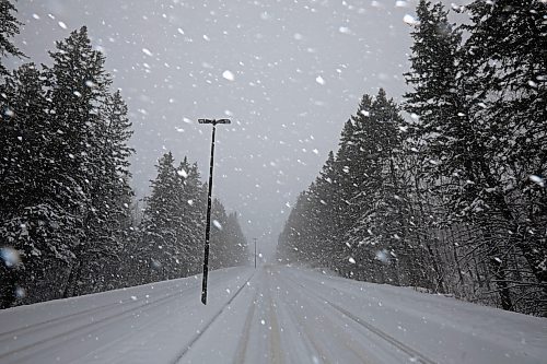 19042023
Snow falls along Highway 10 in Riding Mountain National Park during a snowstorm on Wednesday.
(Tim Smith/The Brandon Sun)