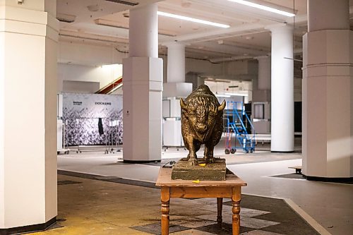 MIKAELA MACKENZIE / WINNIPEG FREE PRESS

The bison statue on the main floor at The Bay, now empty and shuttered before being renovated by the Southern Chiefs' Organization, in Winnipeg on Friday, April 21, 2023.

Winnipeg Free Press 2023.