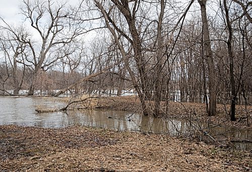 JESSICA LEE / WINNIPEG FREE PRESS

Crescent Drive Park is photographed April 21, 2023. Parts of the park appear to be flooded.

Stand up?