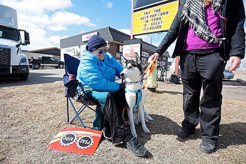 Suzanne Galbraith, a Public Service Alliance of Canada union member, visits with Phish, a shelter dog from Paws Crossed, while picketing along Richmond Avenue in Brandon near the Brandon Service Canada Centre on Monday morning. (Tim Smith/The Brandon Sun)